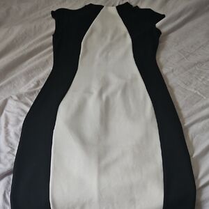 Fashion Nova Monochrome Contrast Dress